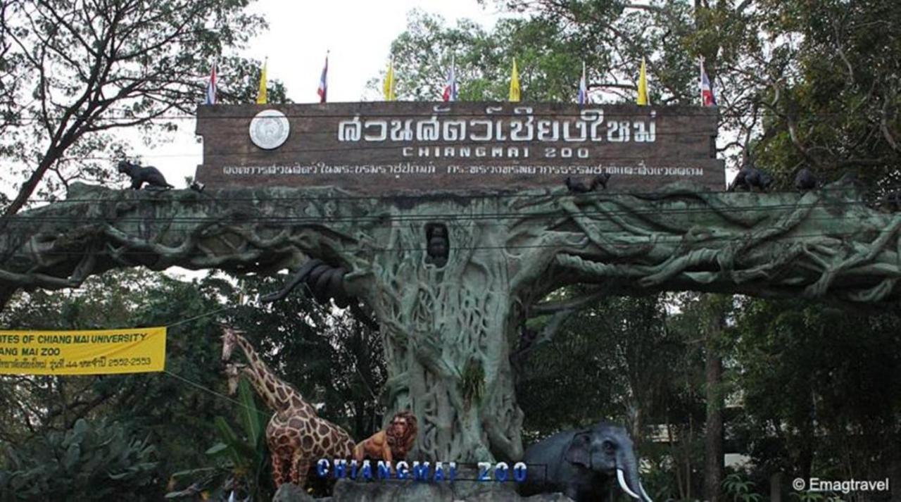 X Go Inn Chiang Mai University - Cmu Dış mekan fotoğraf